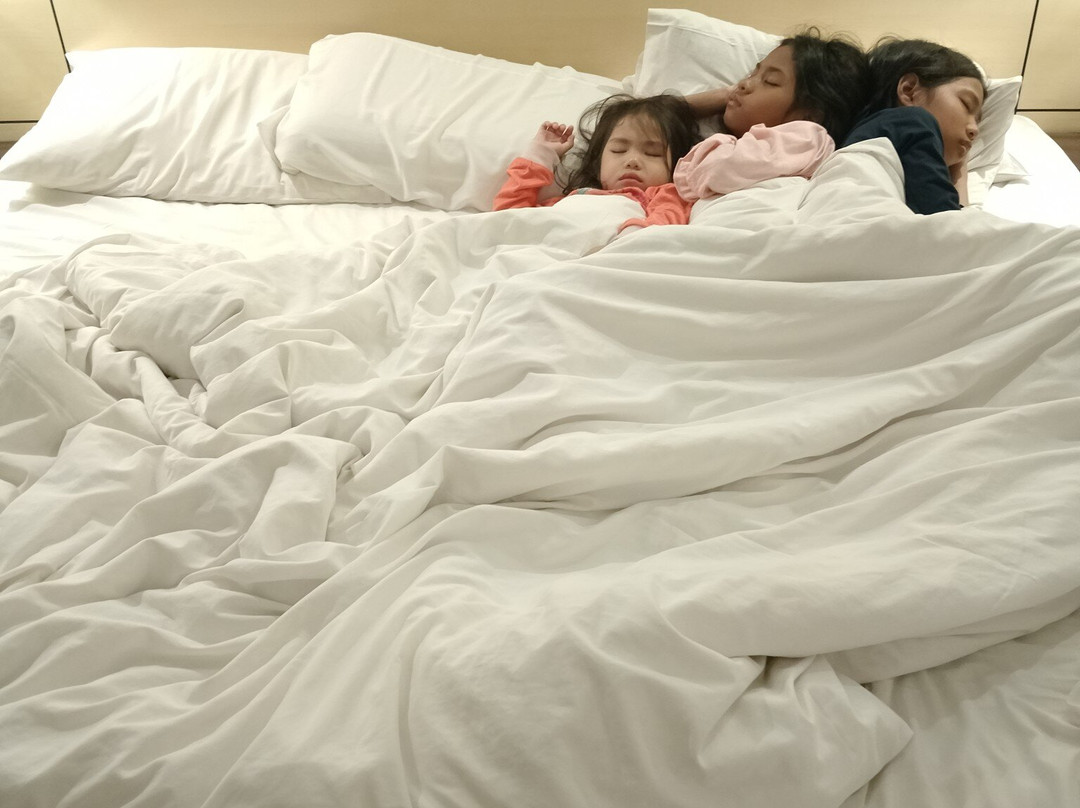 莎亚南凯煌大酒店主图