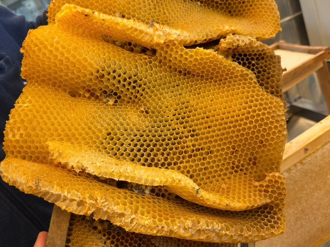 Melissokomikí Kérkyras Vasilákis-Vatos必去景点