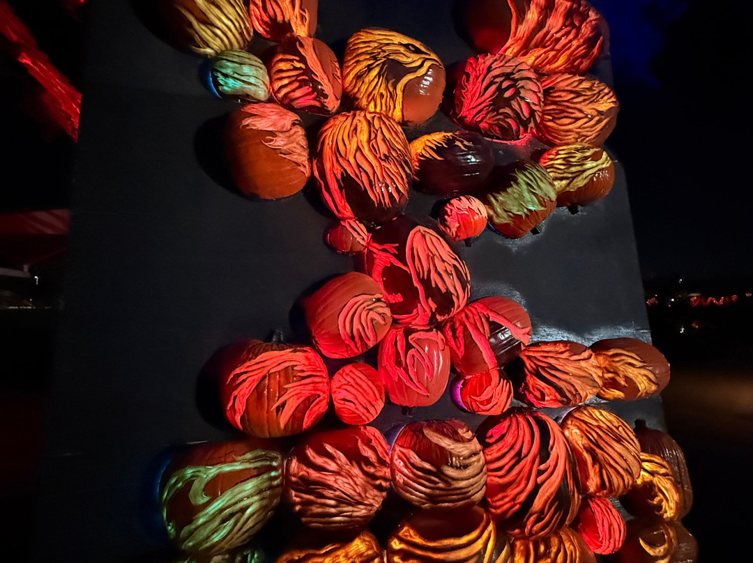 野马旅游酒店-钱德勒必去景点