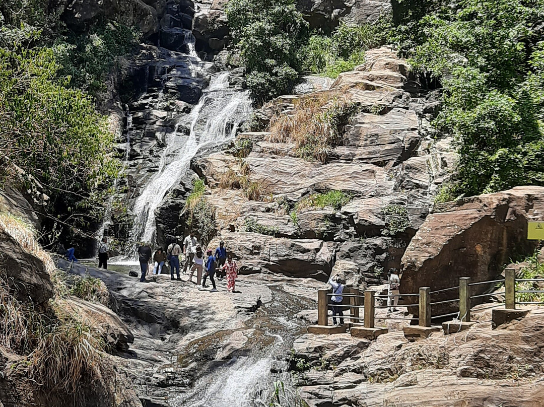 Lanka Travel Bee-尼甘布必去景点