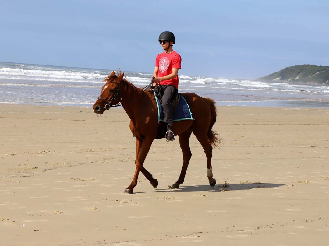 Cintsa Horses-Chintsa West必去景点