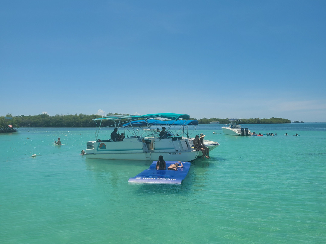 Turtle Bay Inn主图