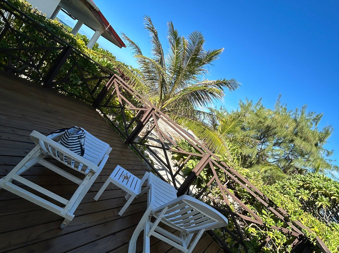 Va'a i te Moana主图