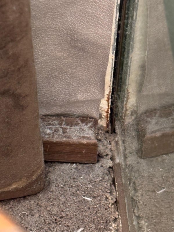 坎波内美利亚酒店-客卧