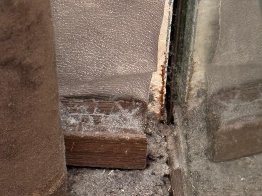 坎波内美利亚酒店主图