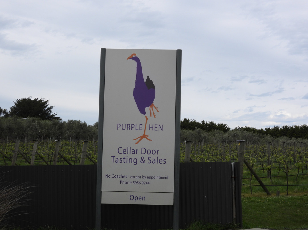 Purple Hen Winery-考斯必去景点