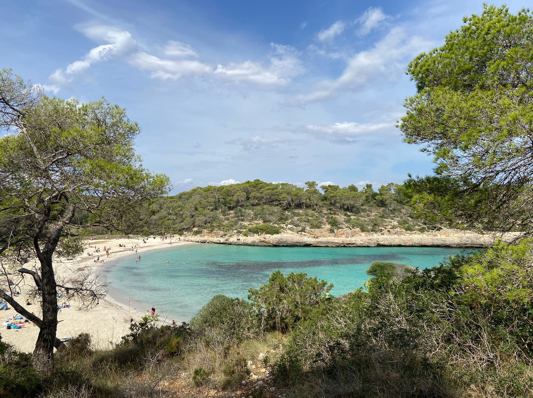 Cala Mondrago-马洛卡岛必去景点