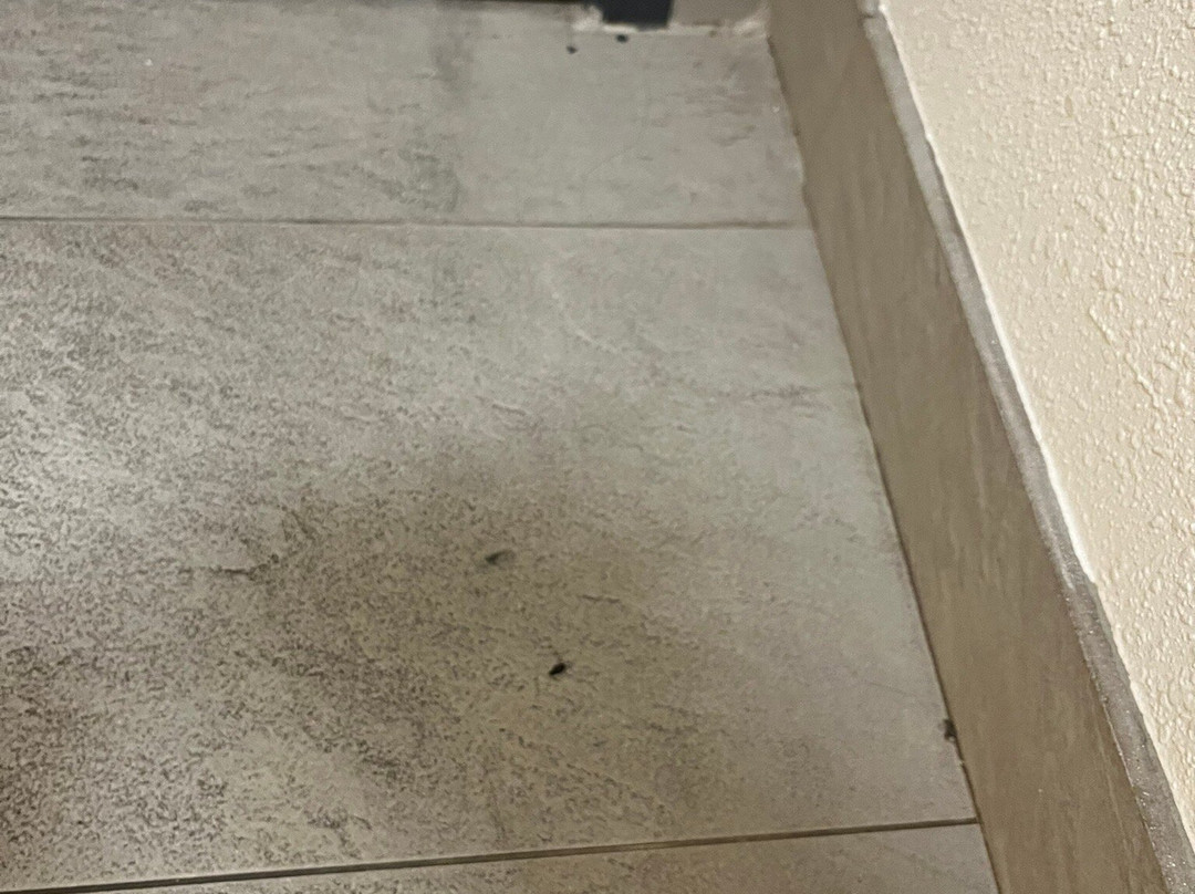 Country Inn & Suites by Radisson, Salisbury, MD主图