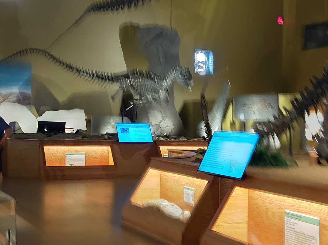 Wyoming Dinosaur Center-瑟莫波利斯必去景点