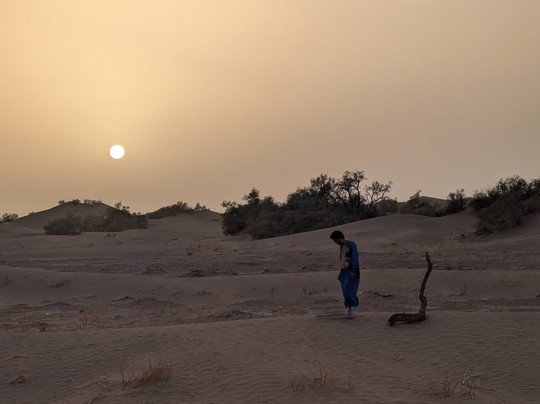 Sahara Secrets Discovery-迈哈米德必去景点