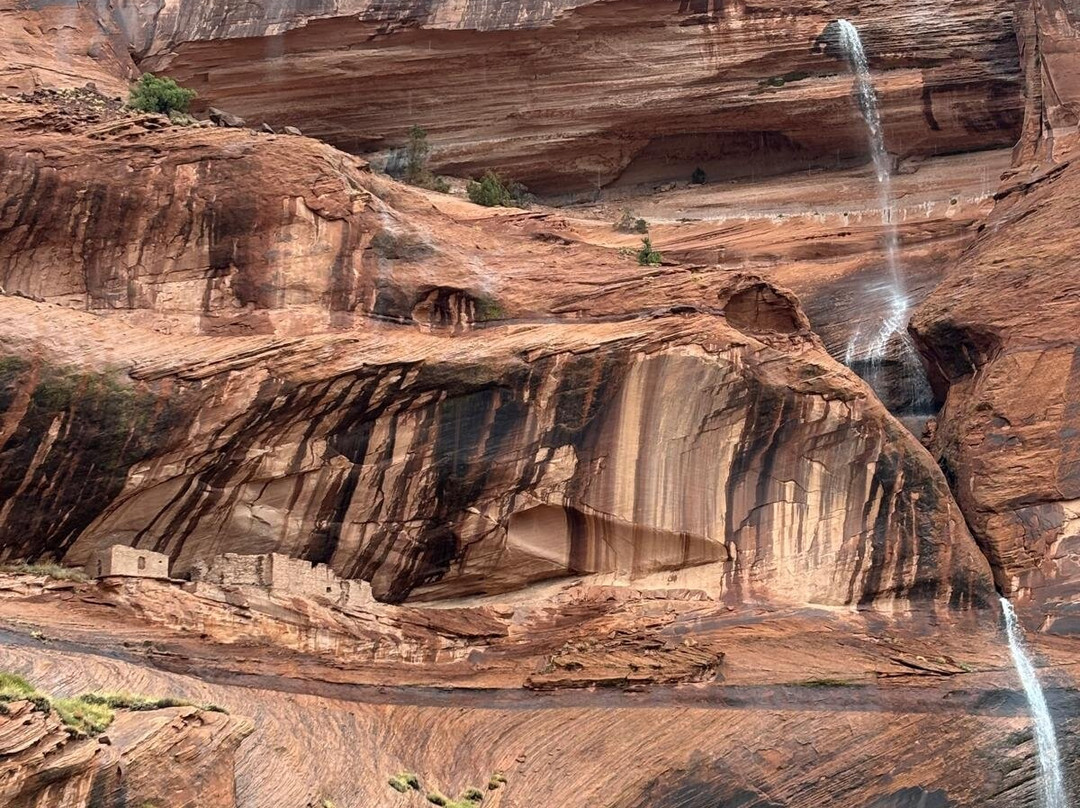 Thunderbird Lodge Tours-Chinle必去景点