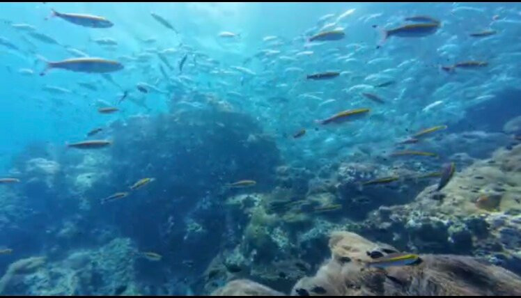 The Divers Boat Koh Phangan-Ban Tai必去景点