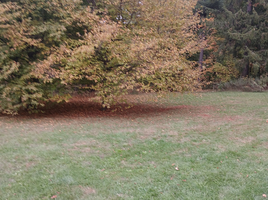 University of Guelph Arboretum-贵湖必去景点