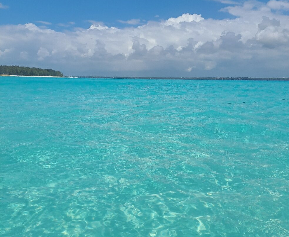 Mnemba Island-姆内巴必去景点