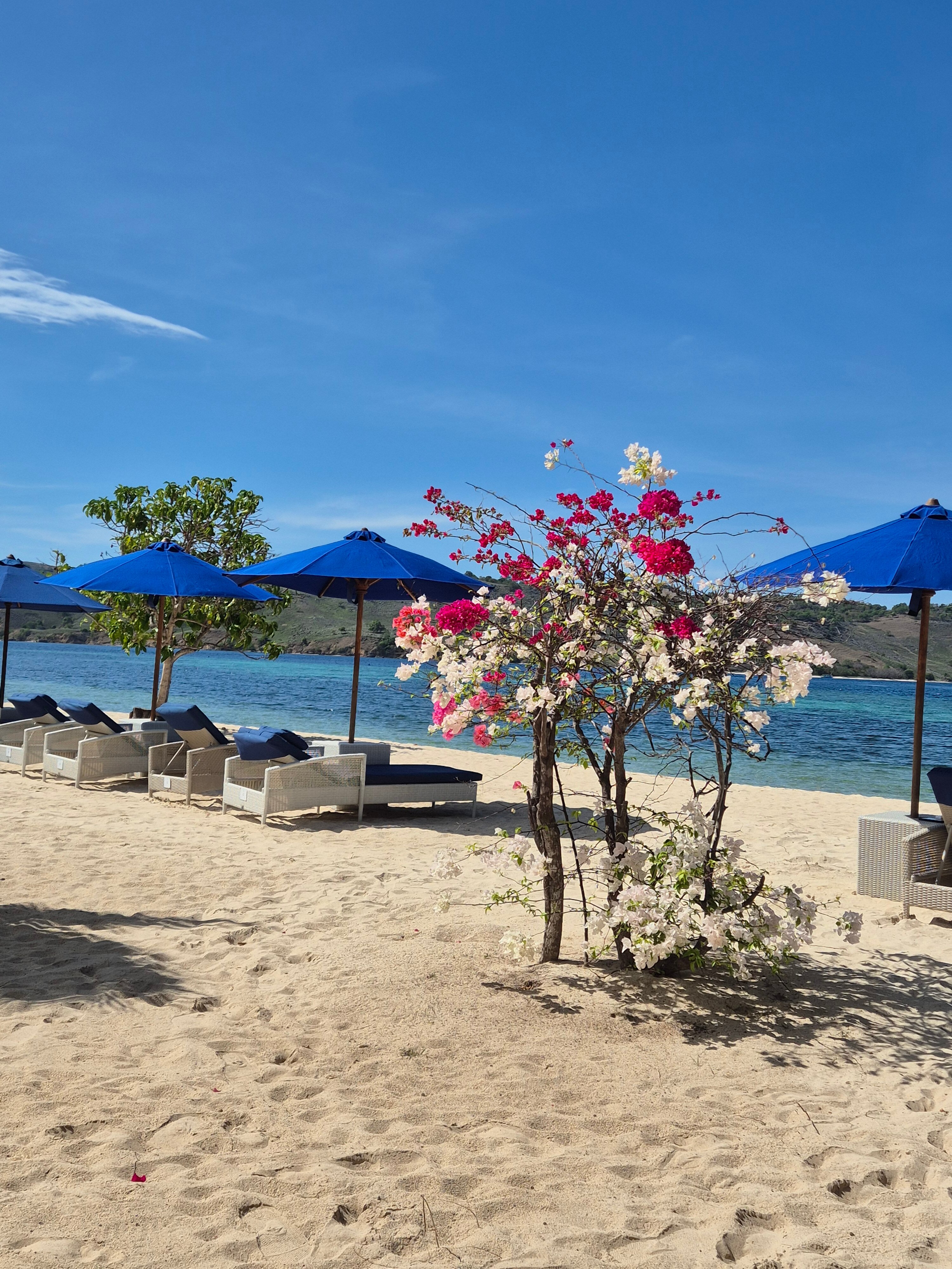 Sudamala Resort, Seraya-泳池