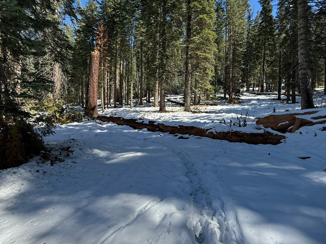 Panoramic Point-红杉&国王峡谷国家公园必去景点