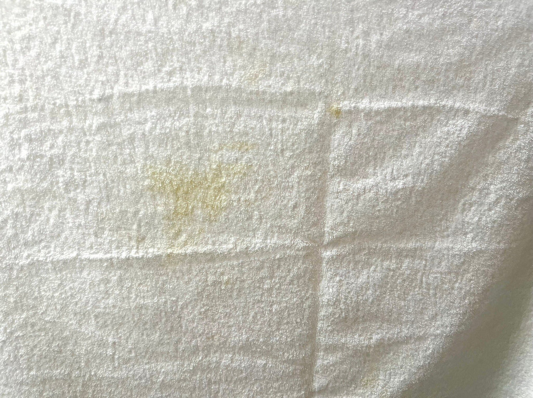 最佳西方待客酒店主图