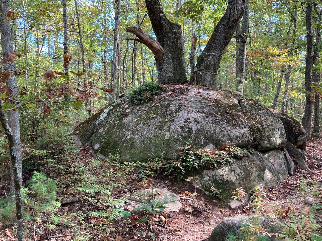 Old Boston Preserve-奥甘奎特必去景点