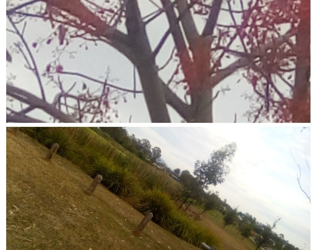 Walkway BEAUDESERT Nerang rd-Beaudesert必去景点