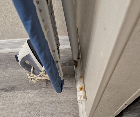 Quality Inn Near Manatee Springs State Park主图