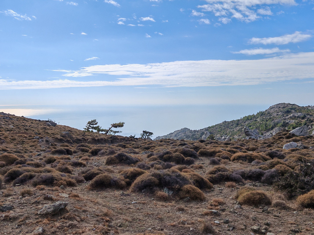 Safari Fun-Ierapetra必去景点