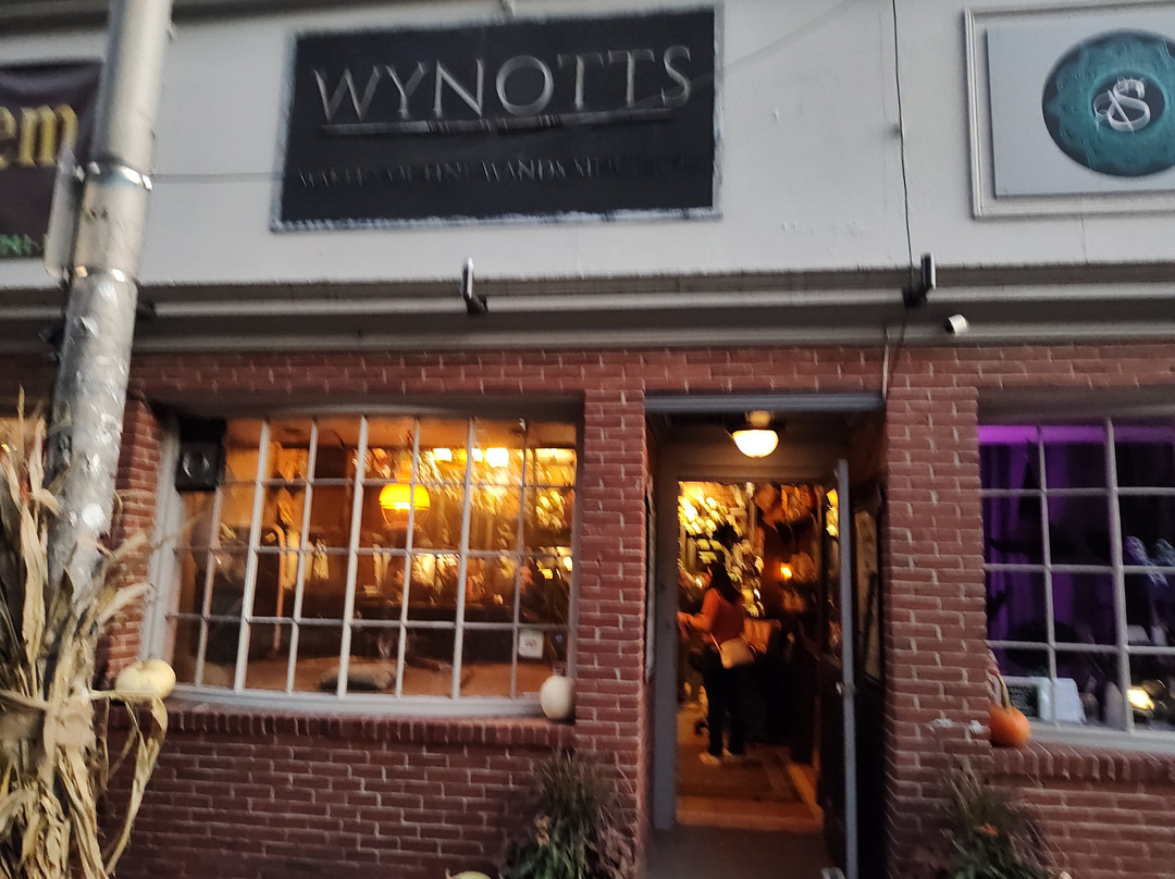 Wynott's Wands-塞勒姆必去景点