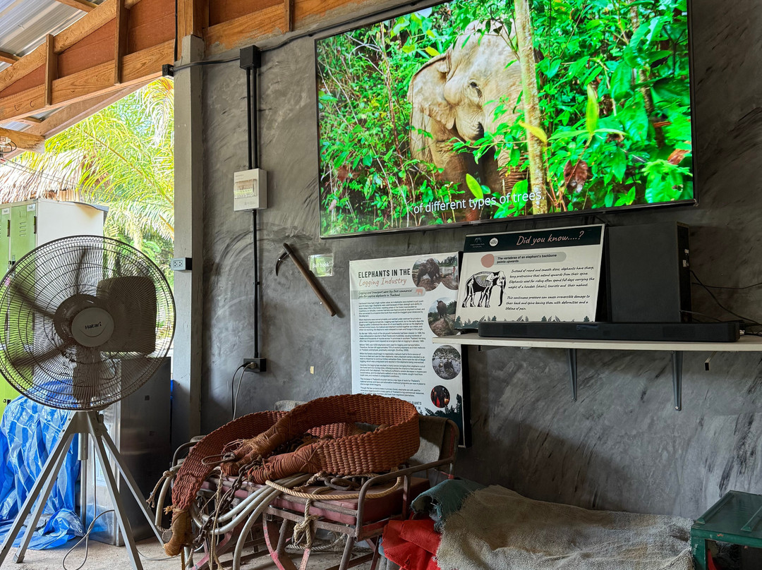 Following Giants - Krabi-Khlong Hin必去景点