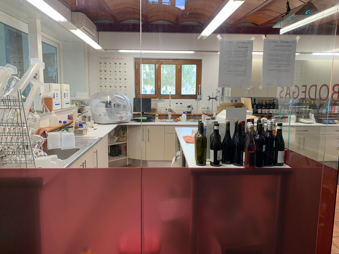 Bodegas Carchelo-Jumilla必去景点