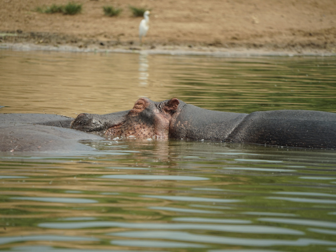 Devine African Safaris-吉佳利必去景点