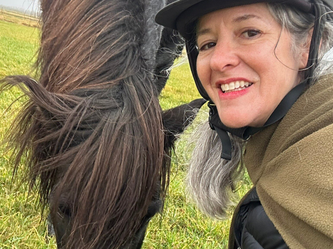 Mr. Iceland-莫斯费德斯拜尔必去景点