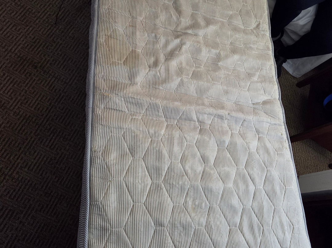 Comfort Inn & Suites Augusta Fort Gordon Area主图