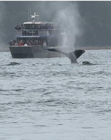 Harv and Marv's Outback Alaska-朱诺必去景点