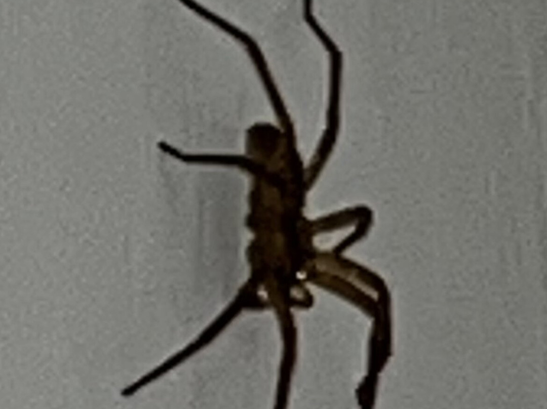 Village Normandy Garden Pierre & Vacances主图