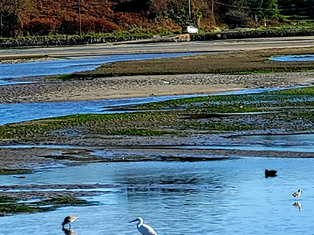 Celtic Ross Hotel主图