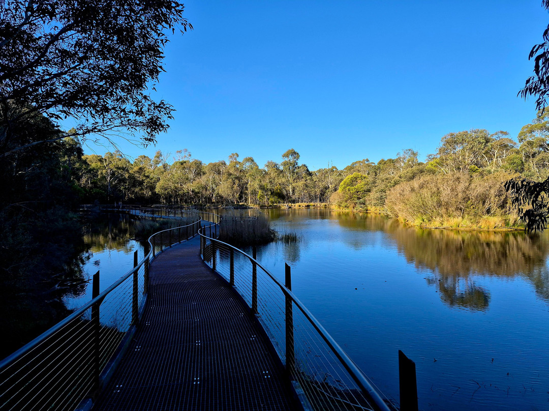 Tidbinbilla Nature Reserve-堪培拉必去景点
