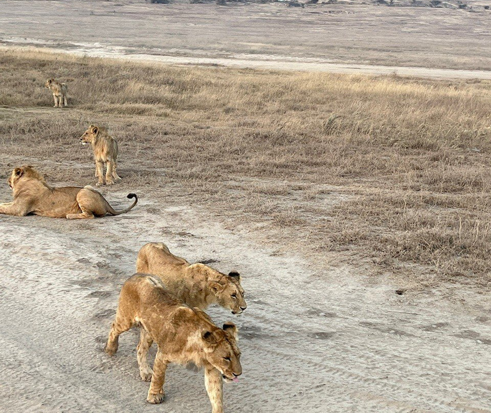 Waterbuck Safaris-Dar es Salaam必去景点