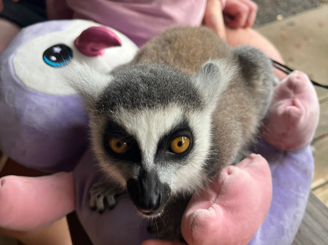 Safari Zoological Park-Caney必去景点