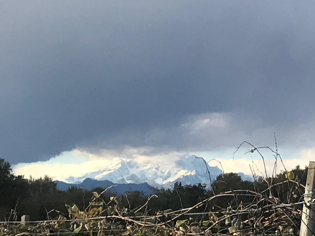 Azienda Vitivinicola e Agriturismo Enrico Crola-Mezzomerico必去景点