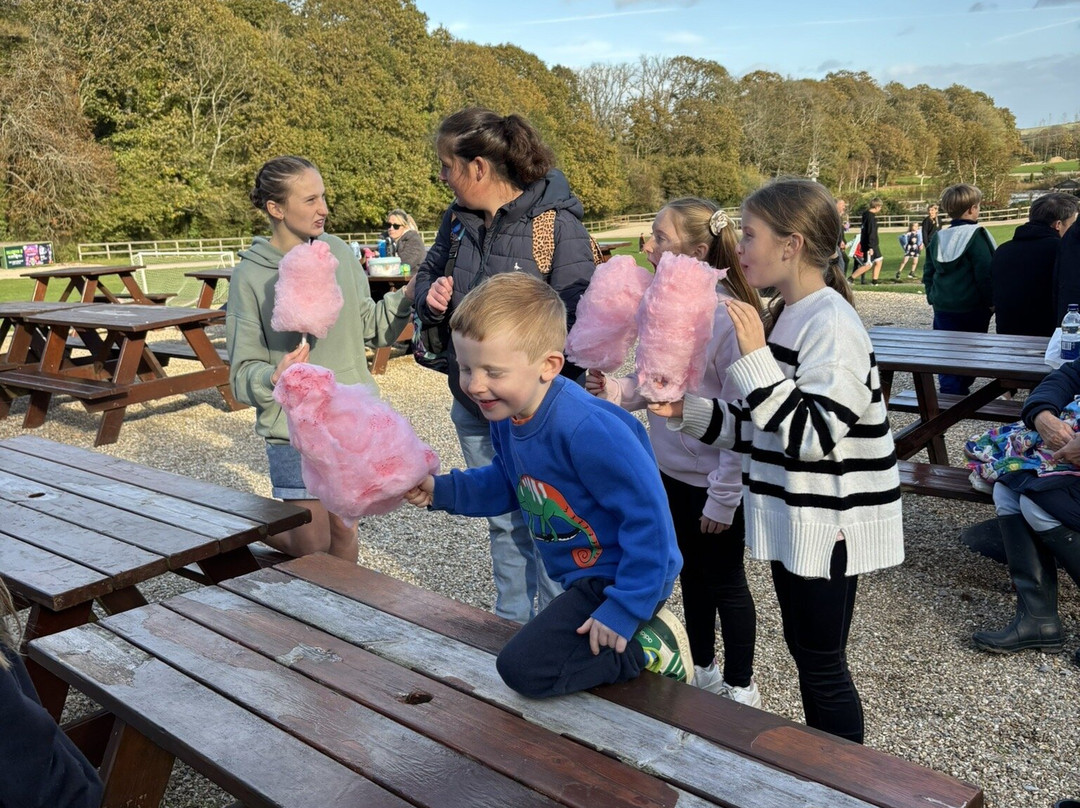Robin Hill Adventure Park-纽波特必去景点