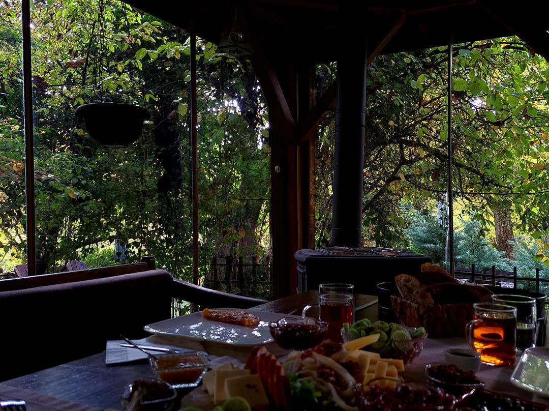 Yeşil Çizme Doğa Evi主图