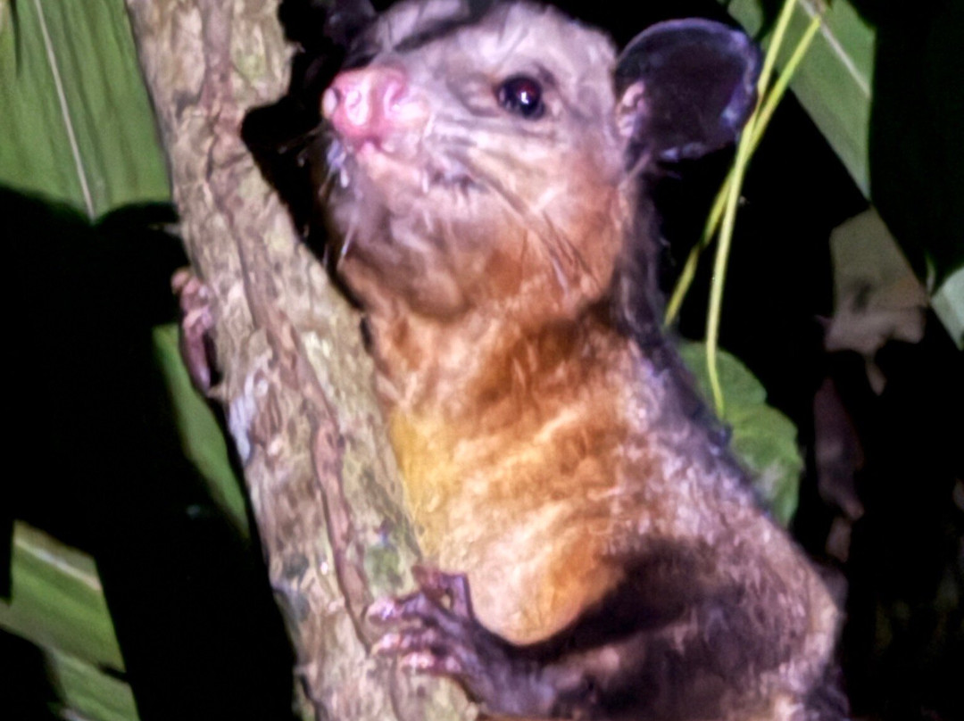 Manuel Tour Guide-卡维塔必去景点