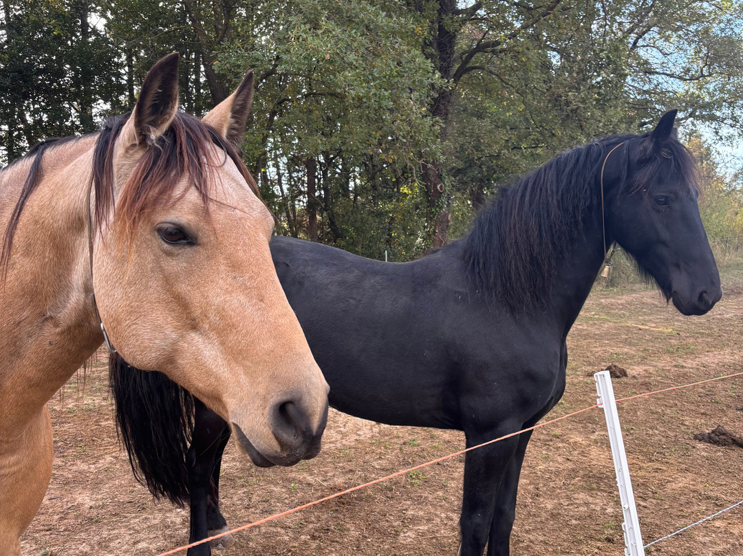 Moulin de la Camandoule主图
