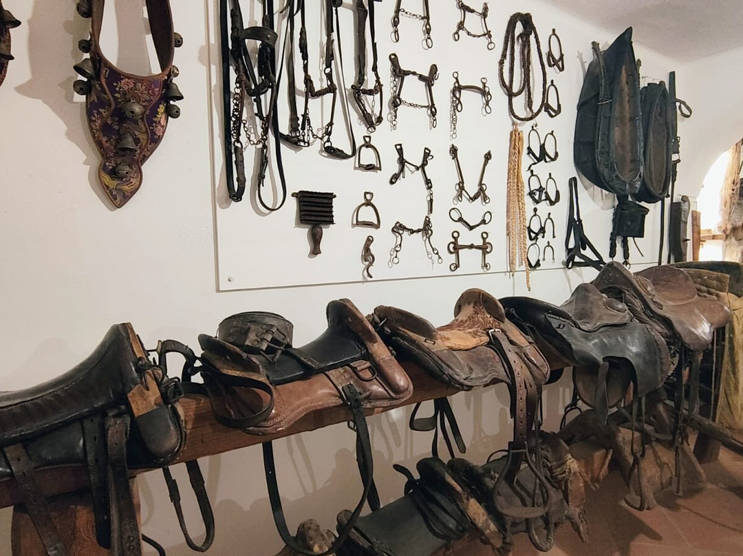 Parco Museo S'Abba Frisca-Dorgali必去景点