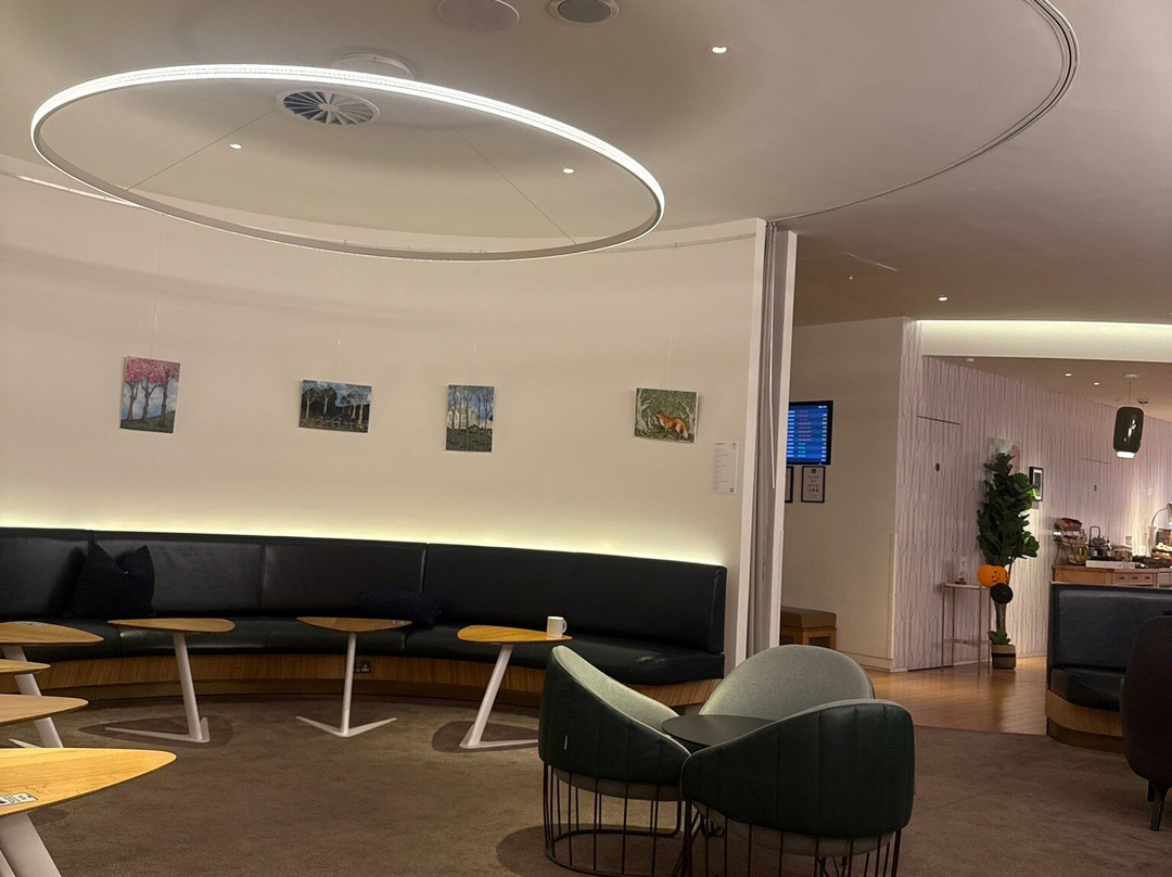 Plaza Premium Lounge Gatwick North Departures-霍利必去景点