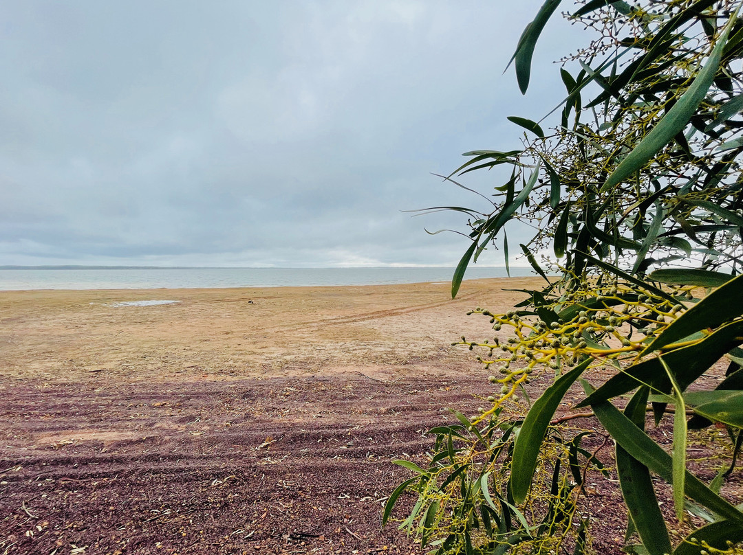 Waranga Basin-拉什沃思必去景点