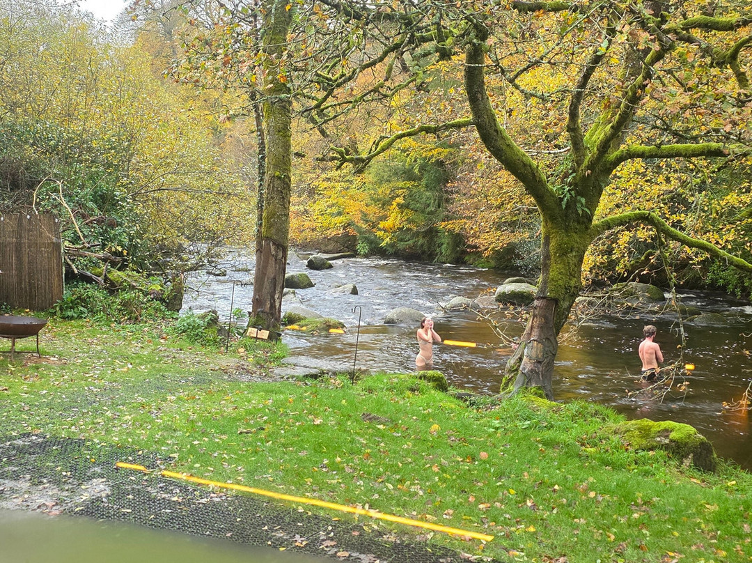 Wilder Sauna-Dartmeet必去景点