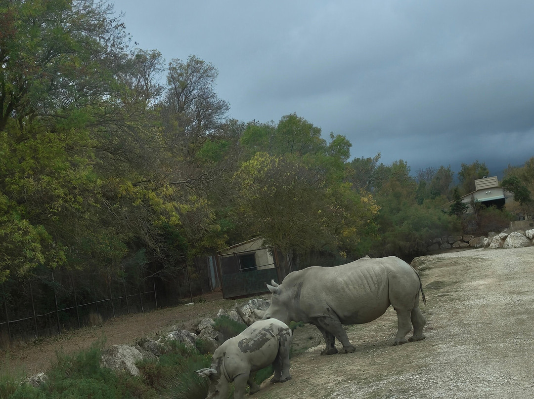 Réserve Africaine de Sigean-Sigean必去景点