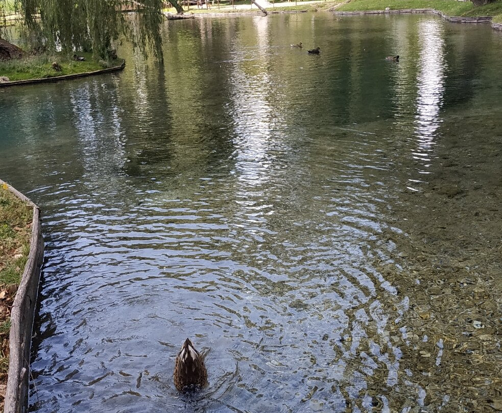 Le Fonti del Clitunno-Campello sul Clitunno必去景点