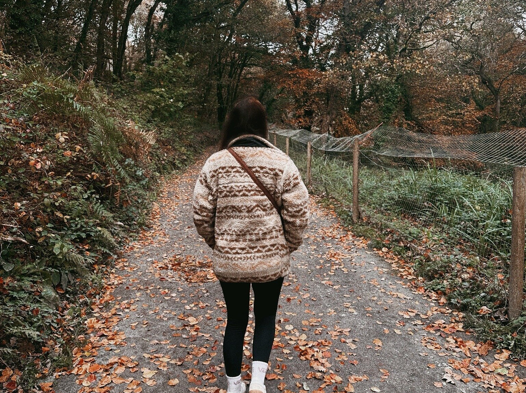 Cornish Seal Sanctuary-Gweek必去景点