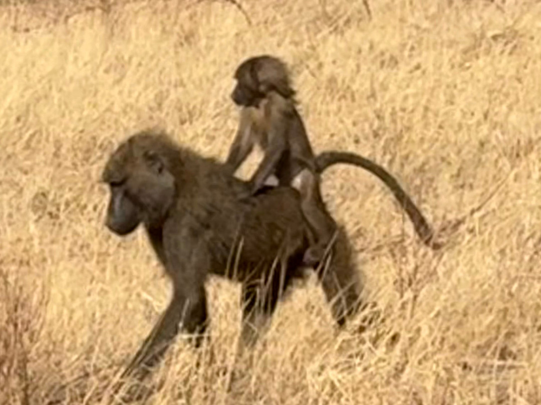 Jemu Expeditions-南由基必去景点